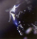 Kim cương có màu là do tâm hấp thu 594 nm (nano mét) (Bản tin tháng 10/2008)