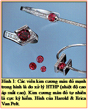 Text Box: Hình 1: Các viên kim cương màu đỏ mạnh trong hình là do xử lý HTHP (nhiệt độ cao áp suất cao). Kim cương màu đỏ tự nhiên là cực kỳ hiếm. Hình của Harold & Erica Van Pelt. 