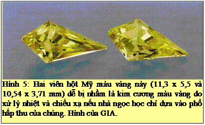 Text Box: Hình 5: Hai viên hột Mỹ màu vàng này (11,3 x 5,5 và 10,54 x 3,71 mm) dễ bị nhầm là kim cương màu vàng do xử lý nhiệt và chiếu xạ nếu nhà ngọc học chỉ dựa vào phổ hấp thu của chúng. Hình của GIA. 