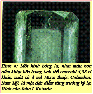 Text Box: Hình 4: Một hình bóng lạ, nhạt màu hơn nằm khớp bên trong tinh thể emerald 3,38 ct khác, xuất xứ ở mỏ Muzo thuộc Columbia, Nam Mỹ, là một đặc điểm tăng trưởng kỳ lạ. Hình của John I. Koivula. 