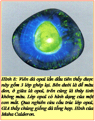 Text Box: Hình 8: Viên đá opal lần đầu tiên thấy được này gồm 3 lớp ghép lại. Bên dưới là đế màu đen, ở giữa là opal, trên cùng là thủy tinh không màu. Lớp opal có hình dạng của một con mắt. Qua nghiên cứu cấu trúc lớp opal, GIA thấy chúng giống đá tổng hợp. Hình của Maha Calderon. 