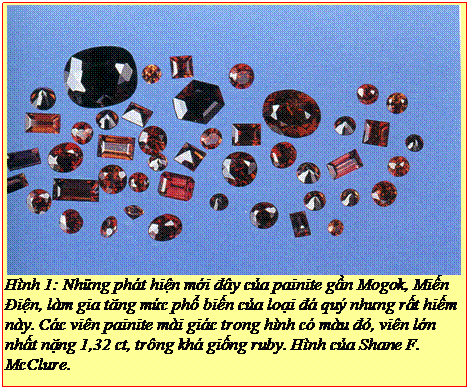 Text Box: Hình 1: Những phát hiện mới đây của painite gần Mogok, Miến Điện, làm gia tăng mức phổ biến của loại đá quý nhưng rất hiếm này. Các viên painite mài giác trong hình có màu đỏ, viên lớn nhất nặng 1,32 ct, trông khá giống ruby. Hình của Shane F. McClure. 