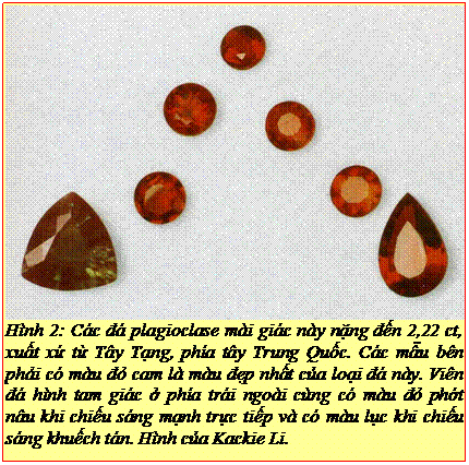 Text Box: Hình 2: Các đá plagioclase mài giác này nặng đến 2,22 ct, xuất xứ từ Tây Tạng, phía tây Trung Quốc. Các mẫu bên phải có màu đỏ cam là màu đẹp nhất của loại đá này. Viên đá hình tam giác ở phía trái ngoài cùng có màu đỏ phớt nâu khi chiếu sáng mạnh trực tiếp và có màu lục khi chiếu sáng khuếch tán. Hình của Kackie Li. 