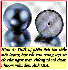 Text Box: Hình 5: Thiết bị phân tích tìm thấy một lượng bạc rất cao trong lớp xà cừ của ngọc trai, chứng tỏ nó được nhuộm màu đen. Ảnh GIA. 