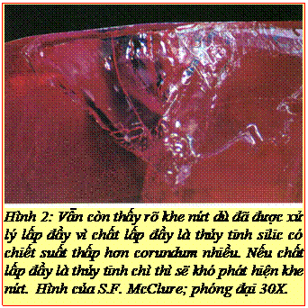Text Box: Hình 2: Vẫn còn thấy rõ khe nứt dù đã được xử lý lấp đầy vì chất lấp đầy là thủy tinh silic có chiết suất thấp hơn corundum nhiều. Nếu chất lấp đầy là thủy tinh chì thì sẽ khó phát hiện khe nứt. Hình của S.F. McClure; phóng đại 30X. 