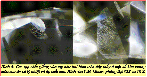 Text Box: Hình 5: Các tạp chất giống vân tay như hai hình trên đây thấy ở một số kim cương màu cao do xử lý nhiệt và áp suất cao. Hình của T.M. Moses, phóng đại 32X và 18 X. 