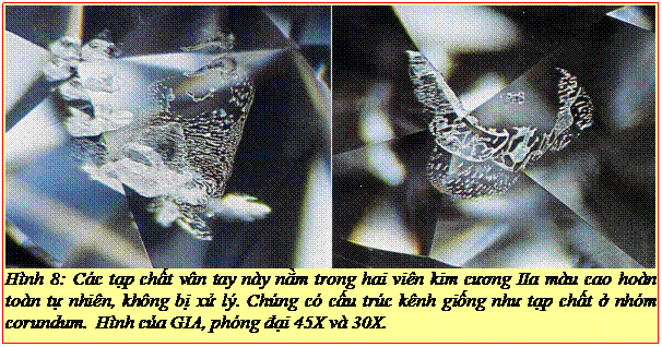 Text Box: Hình 8: Các tạp chất vân tay này nằm trong hai viên kim cương IIa màu cao hoàn toàn tự nhiên, không bị xử lý. Chúng có cấu trúc kênh giống như tạp chất ở nhóm corundum. Hình của GIA, phóng đại 45X và 30X. 