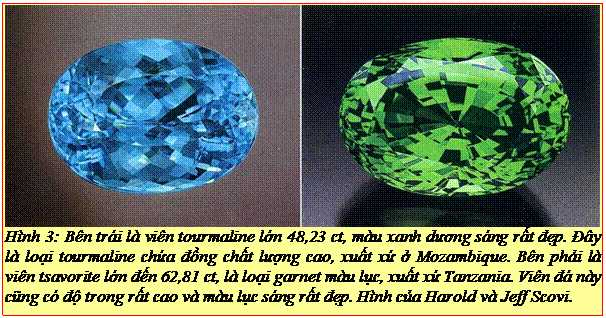 Text Box: Hình 3: Bên trái là viên tourmaline lớn 48,23 ct, màu xanh dương sáng rất đẹp. Đây là loại tourmaline chứa đồng chất lượng cao, xuất xứ ở Mozambique. Bên phải là viên tsavorite lớn đến 62,81 ct, là loại garnet màu lục, xuất xứ Tanzania. Viên đá này cũng có độ trong rất cao và màu lục sáng rất đẹp. Hình của Harold và Jeff Scovi. 