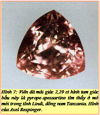 Text Box: Hình 7: Viên đá mài giác 2,29 ct hình tam giác bầu này là pyrope-spessartine tìm thấy ở mỏ mới trong tỉnh Lindi, đông nam Tanzania. Hình của Axel Respinger. 