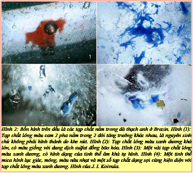 Text Box: Hình 2: Bốn hình trên đều là các tạp chất nằm trong đá thạch anh ở Brazin. Hình (1): Tạp chất lỏng màu cam 2 pha nằm trong 2 đới tăng trưởng khác nhau, là nguyên sinh chứ không phải hình thành do khe nứt. Hình (2): Tạp chất lỏng màu xanh dương khá lớn, có màu giống với dung dịch sulfat đồng bão hòa. Hình (3): Một vài tạp chất lỏng màu xanh dương, có hình dạng của tinh thể âm khá tự hình. Hình (4): Một tinh thể mica hình lục giác, mỏng, màu nâu nhạt và một số tạp chất dạng sợi cùng hiện diện với tạp chất lỏng màu xanh dương. Hình của J. I. Koivula. 