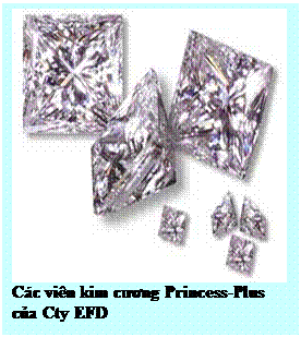 Text Box: Các viên kim cương Princess-Plus của Cty EFD