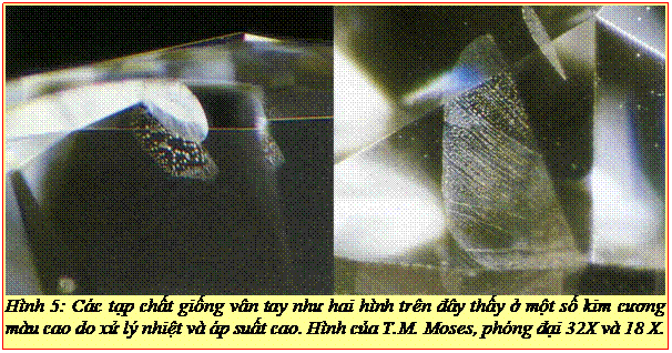Text Box: Hình 5: Các tạp chất giống vân tay như hai hình trên đây thấy ở một số kim cương màu cao do xử lý nhiệt và áp suất cao. Hình của T.M. Moses, phóng đại 32X và 18 X.