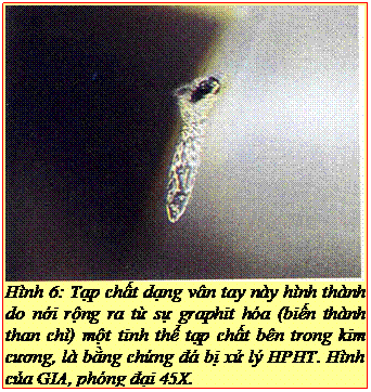 Text Box: Hình 6: Tạp chất dạng vân tay này hình thành do nới rộng ra từ sự graphit hóa (biến thành than chì) một tinh thể tạp chất bên trong kim cương, là bằng chứng đá bị xử lý HPHT. Hình của GIA, phóng đại 45X.