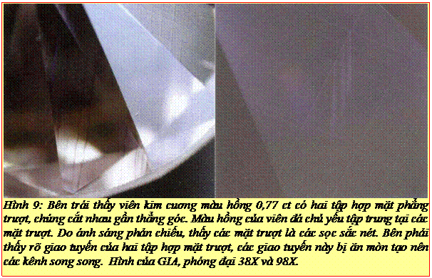 Text Box: Hình 9: Bên trái thấy viên kim cuơng màu hồng 0,77 ct có hai tập hợp mặt phẳng trượt, chúng cắt nhau gần thẳng góc. Màu hồng của viên đá chủ yếu tập trung tại các mặt trượt. Do ánh sáng phản chiếu, thấy các mặt trượt là các sọc sắc nét. Bên phải thấy rõ giao tuyến của hai tập hợp mặt trượt, các giao tuyến này bị ăn mòn tạo nên các kênh song song. Hình của GIA, phóng đại 38X và 98X.
