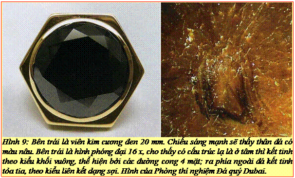 Text Box: Hình 9: Bên trái là viên kim cương đen 20 mm. Chiếu sáng mạnh sẽ thấy thân đá có màu nâu. Bên trái là hình phóng đại 16 x, cho thấy có cấu trúc lạ là ở tâm thì kết tinh theo kiểu khối vuông, thể hiện bởi các đường cong 4 mặt; ra phía ngoài đá kết tinh tỏa tia, theo kiểu liên kết dạng sợi. Hình của Phòng thí nghiệm Đá quý Dubai.